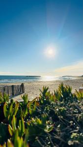 een strand met een bank en de oceaan bij Appartement Chic 50m de la mer in Palavas-les-Flots