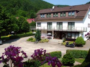 a large house with a courtyard with purple flowers at Harz hotel Iris in Sieber