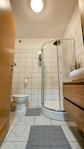 a bathroom with a shower and a toilet at Hana Plitvice Apartment in Korenica +17 photos