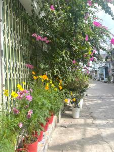 Gallery image of Như Ngọc Motel in Cà Mau