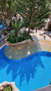 a large blue swimming pool with a palm tree in it at Апарамент за гости Романс Марин in Sunny Beach