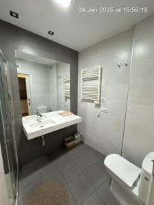 a bathroom with a sink and a toilet and a mirror at Principal Plaza in Salamanca +50 photos