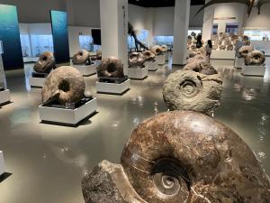 Fotografie z fotogalerie ubytování 空彩 -sorairo- 札幌から富良野への最短ルート v destinaci Mikasa