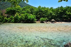 ギリキにあるGlykis Earの木々と水の多いビーチ