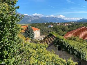 Příroda nedaleko vily