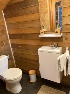a bathroom with a white toilet and a sink at t' Schuurtje in Vollenhove