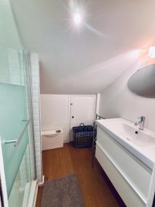 サン・ジャン・ド・リュズにあるDuplex T5 au pied de la plageの洗面台、鏡、トイレ付きのバスルーム