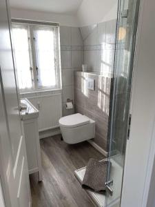 a bathroom with a toilet and a glass shower at Blaukehlchen in Nieblum +5 photos