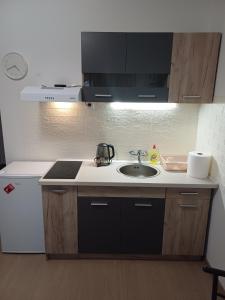 a kitchen with a sink and a counter top at Kućica LaMa-Кућица ЛаМа in Mali Mokri Lug