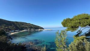 a view of a beach with trees and the water at Sweet home Palinuro in Palinuro