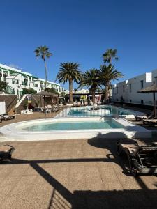 a large swimming pool with chairs and palm trees at Guacimeta in Los Pocillos