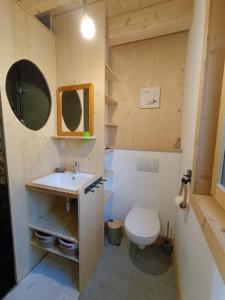 a small bathroom with a toilet and a sink at Chalet la Belle Verte in Saint-Sigismond