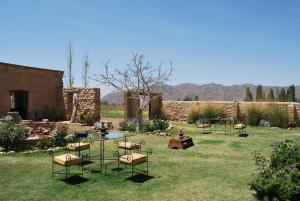a garden with chairs and a table in the grass at Finca Huayrapuca in Famatina