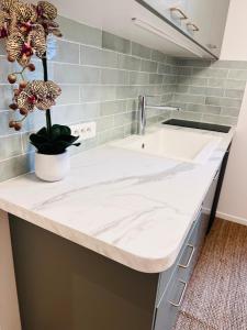 a kitchen counter with a sink and a potted plant at Un appartement en centre ville , à 2 pas du château de Villers Cotterets in Villers-Cotterêts