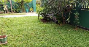 Κήπος έξω από το S and P Happy Family Living