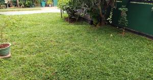 Κήπος έξω από το S and P Happy Family Living