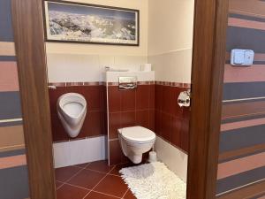 Koupelna v ubytování Apartmán Bílá Hora - Roudná