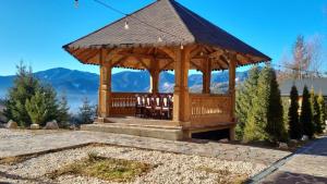 Foto dalla galleria di Mountain View Chalet a Broşteni Altre 2 foto