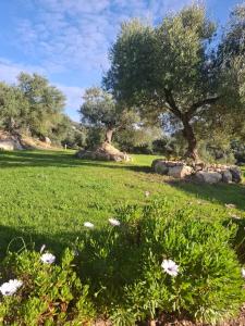 Vonkajšia záhrada v ubytovaní Hacienda Molino Nuevo