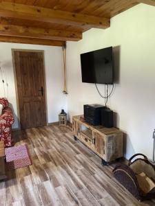 TV a/nebo společenská místnost v ubytování Drevenica u Kobrtkov