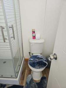 San JavierにあるHostalnerのバスルーム(ガラス張りのシャワー付きトイレ付)