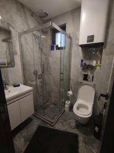 a bathroom with a shower and a toilet and a sink at Bella Winterhouse Kopaonik in Kopaonik +25 photos