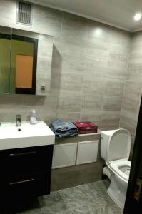 a bathroom with a toilet and a sink and a mirror at Plavnieku apartment in Riga +6 photos
