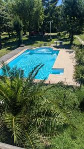 een zwembad in een park met een palmboom bij Mishki Wasi - Dulce Hogar Magdalena in Magdalena