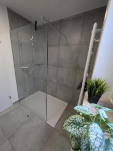 a shower with a glass door in a bathroom at Schlosspark Apartments in Flechtingen