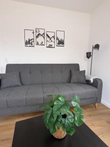 a living room with a couch and a plant on a table at Schlosspark Apartments in Flechtingen