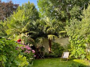 a garden with a chair and a palm tree at A La Fleur d Oranger - Lille La Madeleine in La Madeleine