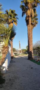 two palm trees standing next to a white fence at Mini house Apartamento Individual in Las Torres de Cotillas +2 photos