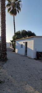 a white building with a palm tree next to it at Mini house Apartamento Individual in Las Torres de Cotillas