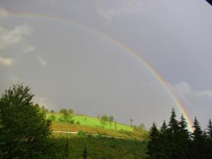 Naturlandschaft in der Nähe der Ferienwohnung
