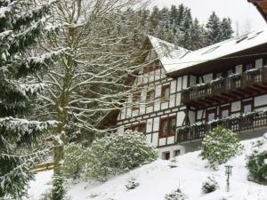 Apartment in Oberkirchen near Winterberg Skiing im Winter