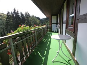 Ein Balkon oder eine Terrasse in der Unterkunft Apartment in Oberkirchen near Winterberg Skiing