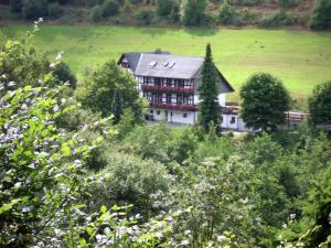 Naturlandschaft in der Nähe der Ferienwohnung