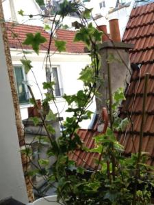 Сад в Studio en plein cœur de Paris