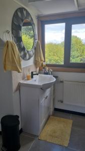 a bathroom with a white sink and a mirror at Habitaciones Dobles Valdivia, Isla Teja in Valdivia