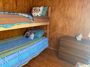 Postel nebo postele na pokoji v ubytování Cabaña con Piscina Guanaqueros + 21 fotografií