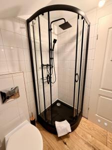 una ducha en un baño con inodoro en Ostoja Pod Szrenicą, en Szklarska Poręba