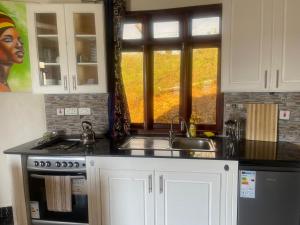 a kitchen with a sink and a stove and a window at 5 Empologoma Cottage - Benanda Forest Resort in Masaka