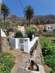 a street with a white fence and palm trees at Casita El Molino im grünen Valle Gran Rey in Valle Gran Rey