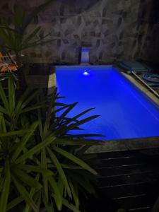 a blue swimming pool with a plant next to it at Casa Panorâmica in Angra dos Reis