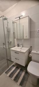 Kúpeľňa v ubytovaní Apartments DaRi + 37 fotografií