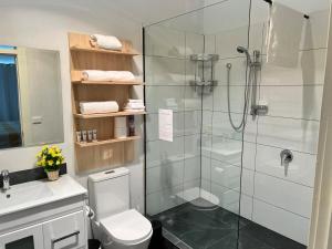 a bathroom with a shower and a toilet and a sink at Countryside Retreat- DS Holiday Home in Carngham +26 photos