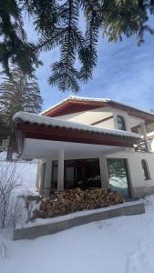 Galeriebild der Unterkunft Luxury Villa in the Pines in Pamporowo