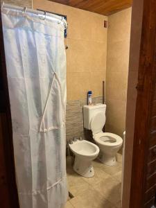 a bathroom with a toilet and a shower curtain at Cabaña Sol&Luna in Tafí del Valle
