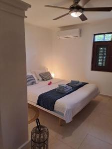 a bedroom with a bed with a ceiling fan at Luxury Oceanfront Elegancia in Kralendijk +20 photos