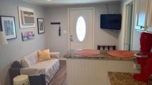 a living room with a couch and a tv at Cozy Texoma Guesthouse in Sherman